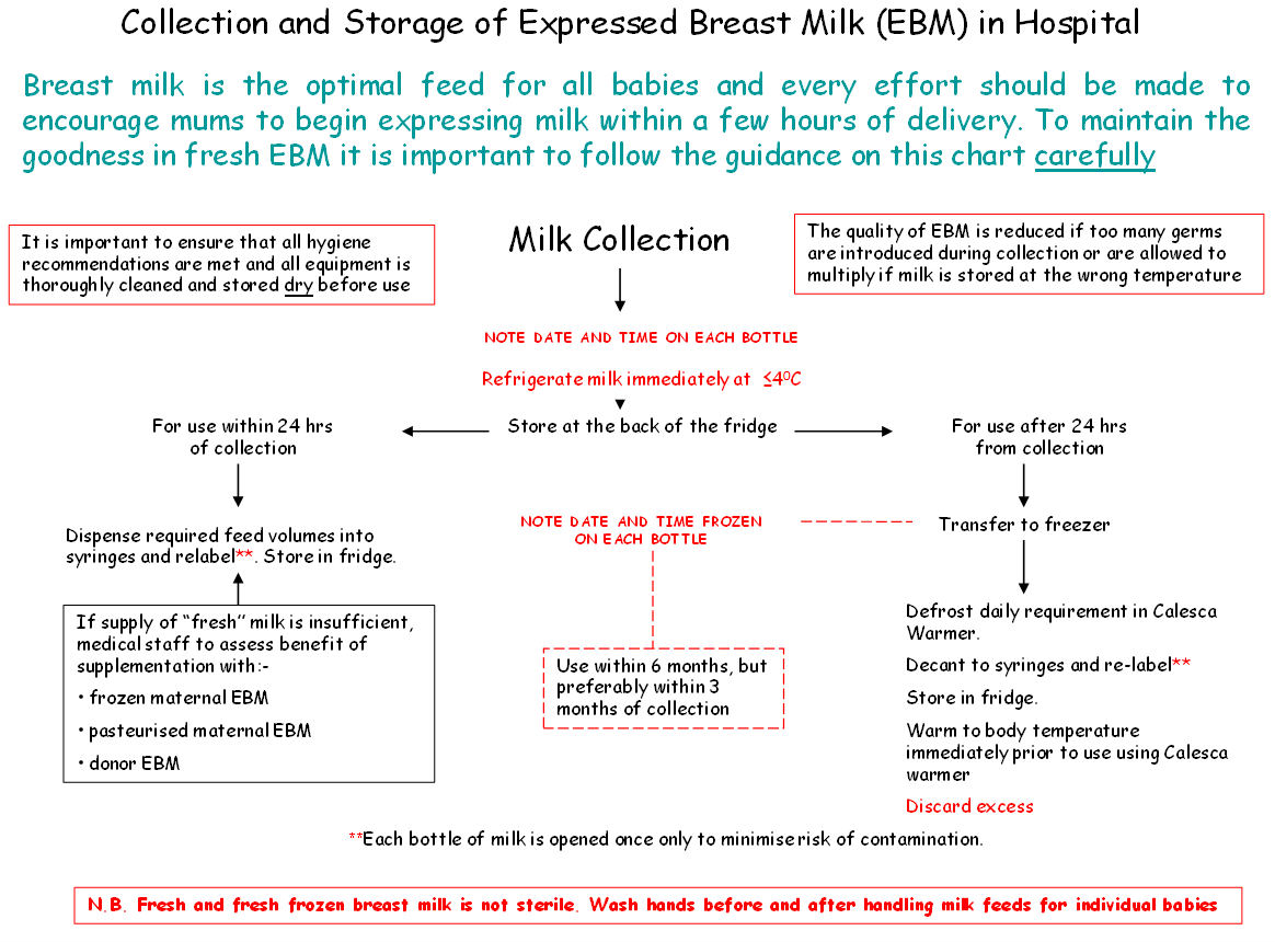 Breast Milk Shelf Life Chart