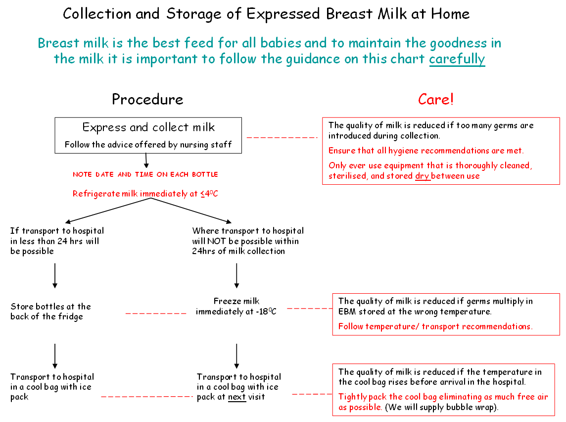 Breast Milk Shelf Life Chart