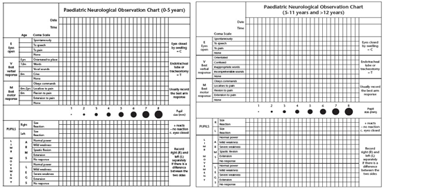 Neurological Observation Chart Template: A Visual Reference of Charts ...