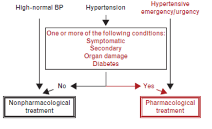 Hypertension In Paediatrics Renal Unit Rhc