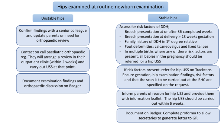 Flowchart for newborn hip examination (stable and unstable hips)