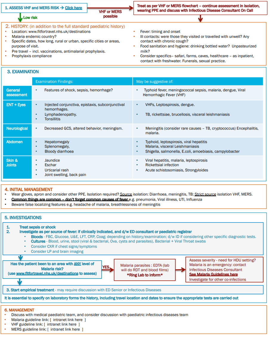 Fever in the returning paediatric traveller guideline graphic