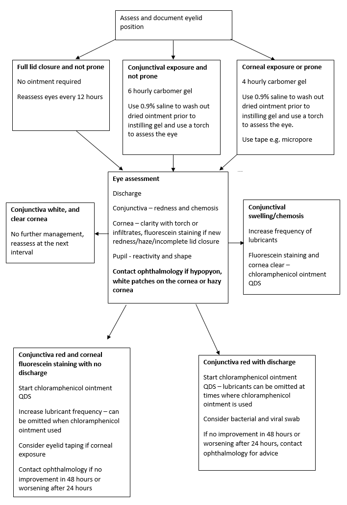 Eye Care in PICU