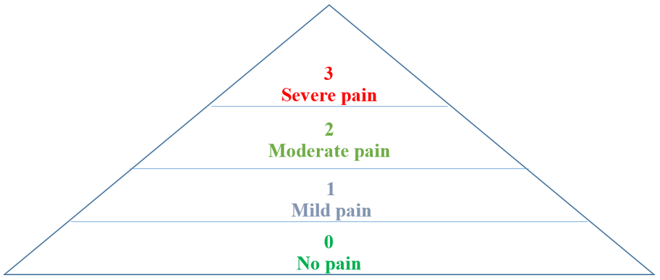 Pain score pyramid