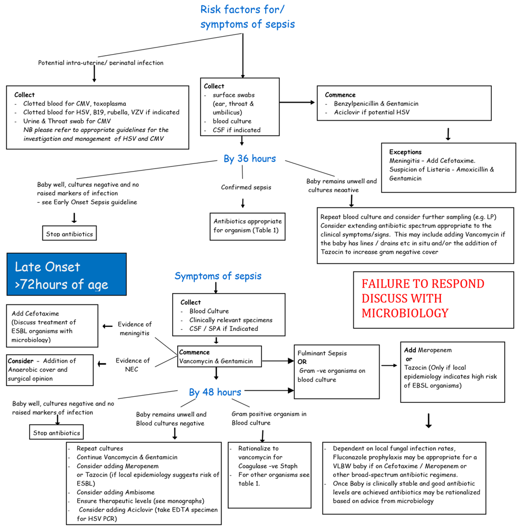 Algorithm for risk factors for/symptoms of sepsis