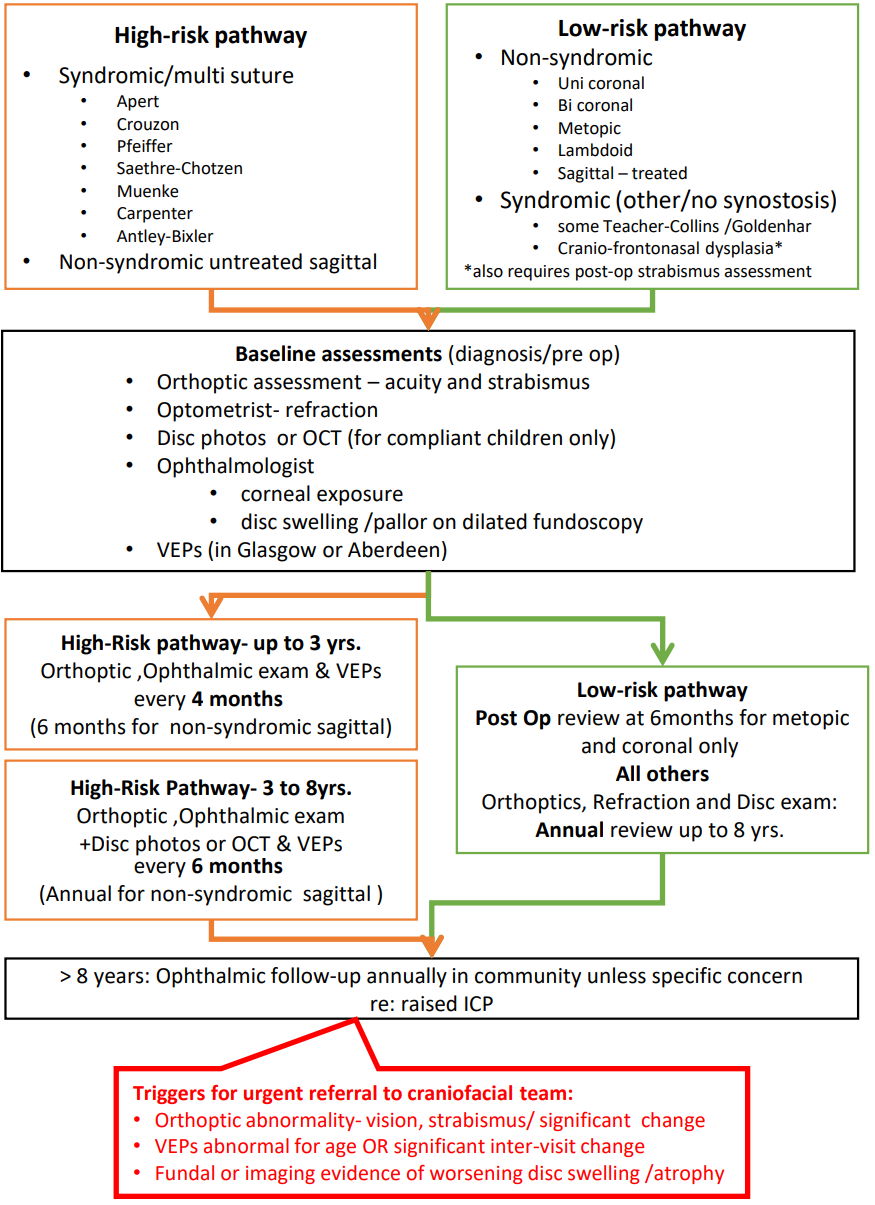 Craniofacial ophthalmology referral pathway