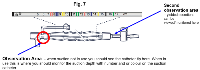 Diagram showing the location of the observation areas